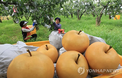 하나로수산동 이미지