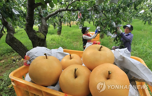 하나로수산동 이미지
