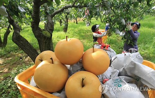 하나로수산동 이미지