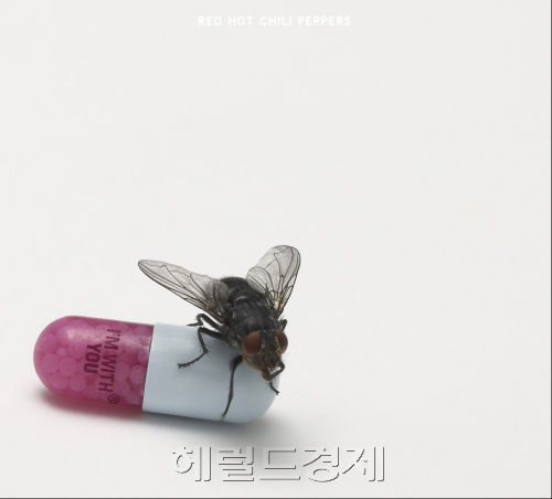 레드핫사운드 이미지