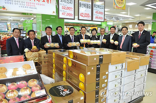 울산원예농업협동조합 하나로마트 이미지