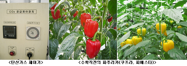 경제가스 이미지