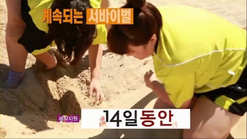 십사일동안 이미지
