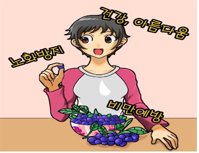 행복한블루베리 이미지