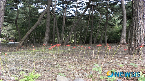 윤영수산 이미지
