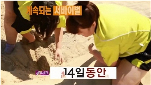 (주)SBS 이미지