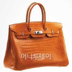 명품날개 이미지