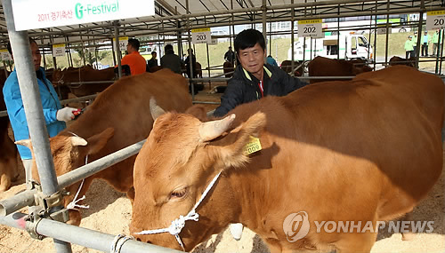 한우가최고야 이미지