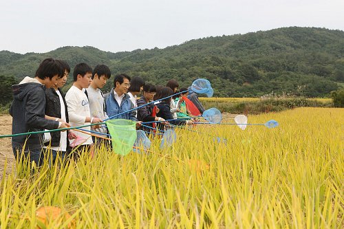 황금메카 이미지