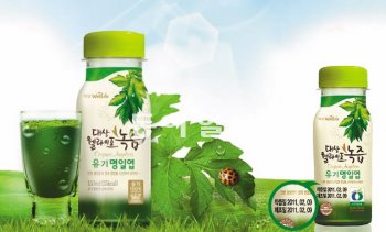 정직한 녹즙 이미지