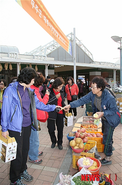 무주반딧불투어 이미지