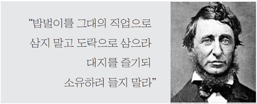 소로 이미지