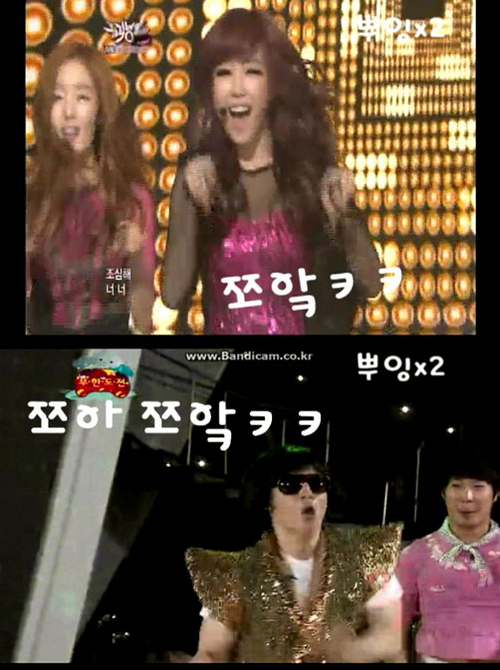 쪼아쪼아 이미지
