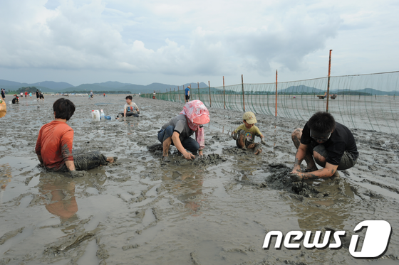 고창김밥 이미지