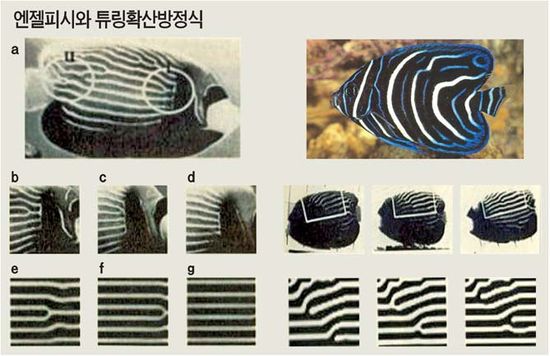 매직산업 이미지
