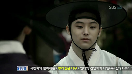 뿌리깊은나무 이미지