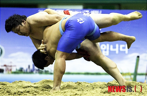 배지기 이미지