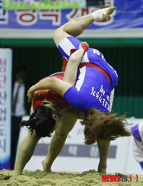 배지기 이미지