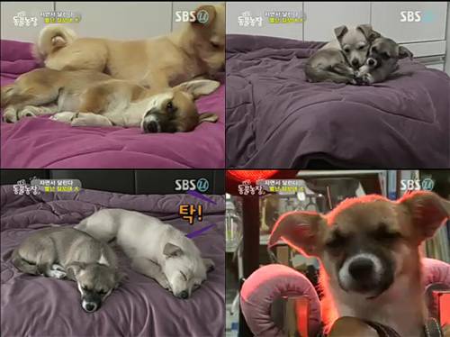 달리는농장 이미지