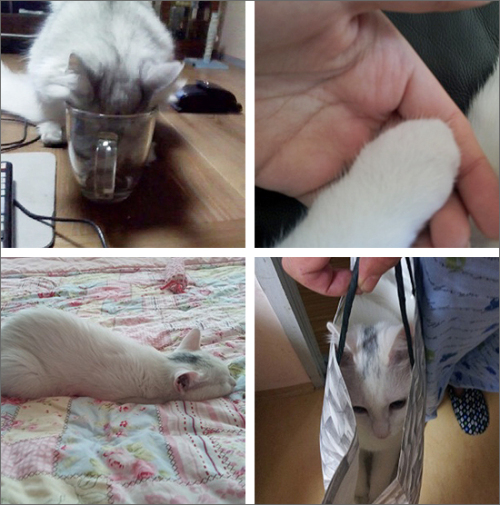 상근농장 이미지