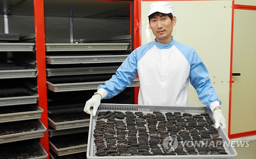 해삼영어조합법인 이미지