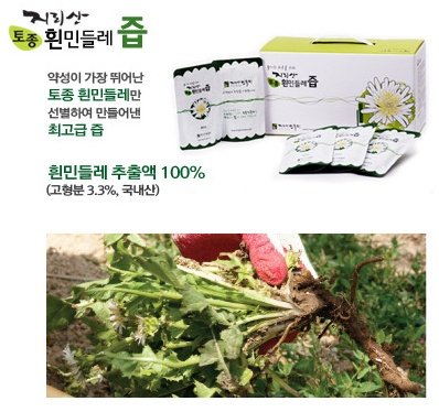 지리산사람들(지리산민들레) 이미지