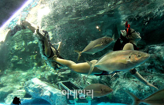 올라라 이미지