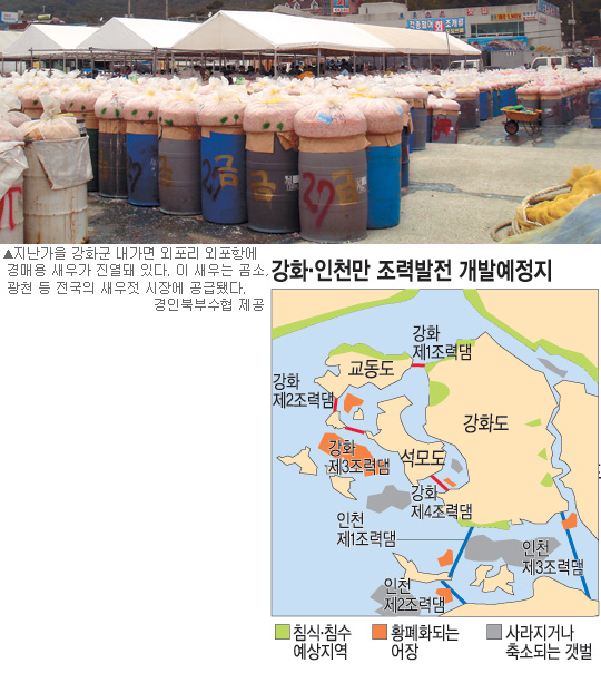 황금어장 이미지