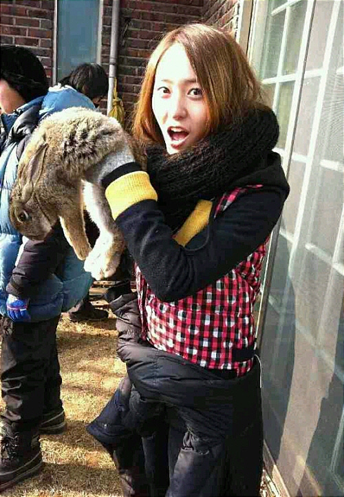 해피토끼 이미지