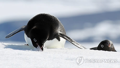 마르네 이미지