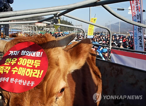 한우 이미지