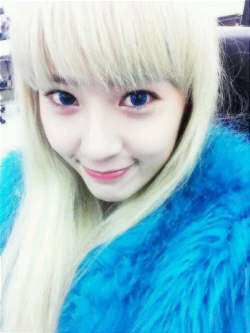 크리스탈장 이미지