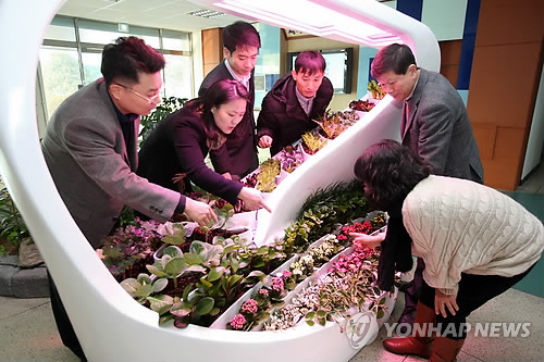 식물농장 이미지