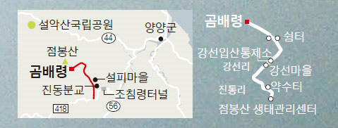 눈꽃나무 이미지