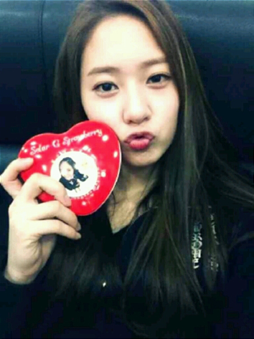 크리스탈장 이미지