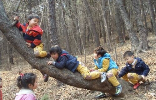 부산대연유치원 이미지