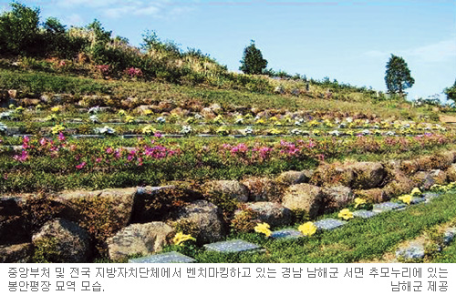 중앙장묘 이미지