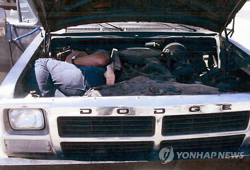 묘화 이미지