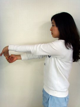 힘줄 이미지