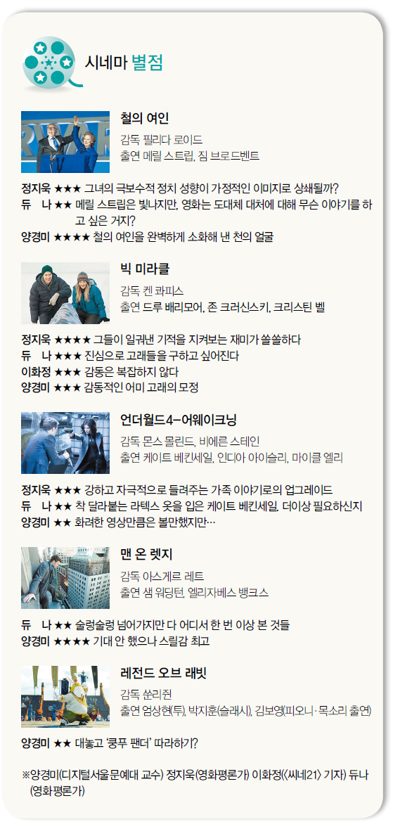 보성프리덤 이미지