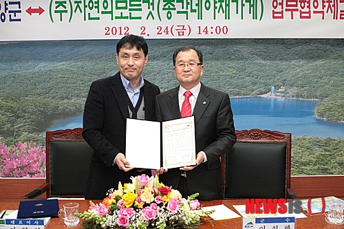 자연야채유통 이미지