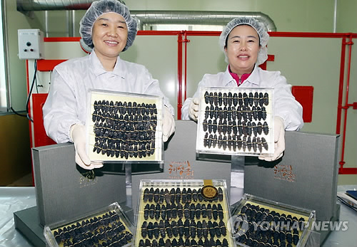 해삼영어조합법인 이미지