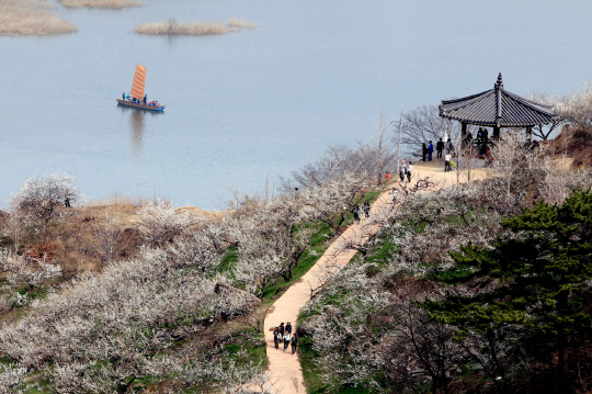여수한국관광여행사 이미지