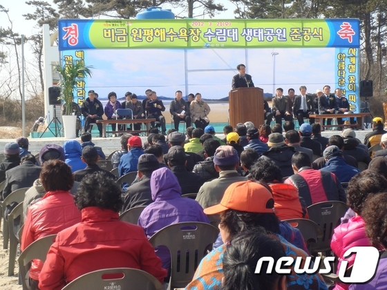 비금 이미지