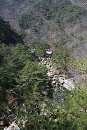 맑은산장농원 이미지