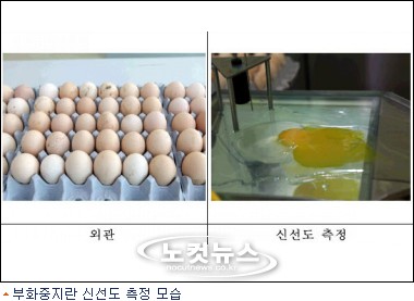 란김밥 이미지