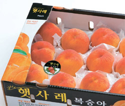 경기동부과수농업협동조합 이미지