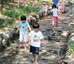 숲속유치원 이미지