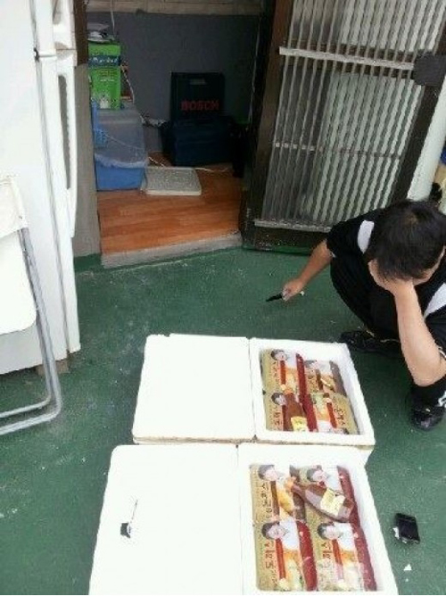 도니도니 이미지