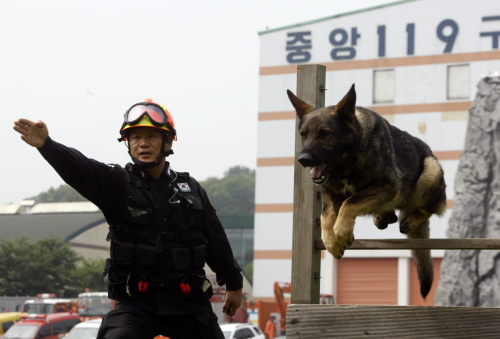 백두축산 이미지